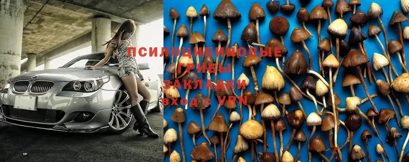 Псилоцибиновые грибы MAGIC MUSHROOMS Касимов